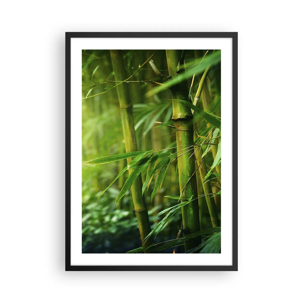 Affiche dans un cadre noir - Poster - Une bambouseraie aux nuances de vert - 50x70cm - Apprenez à connaître le vert lui-même - Décoration murale moderne pour le salon et la chambre ARTTOR