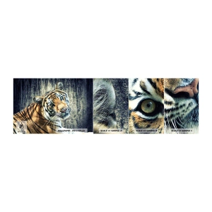 Échantillon de Papier Peint Autocollant Deluxe Sticker - Portrait dans les flots de lumière - Animaux, Tigre, Afrique - 100x30 cm