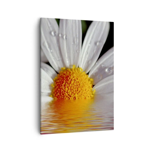 Impression sur toile - Image sur toile - Une marguerite blanche avec des gouttes d'eau immergées dans un reflet d'eau - 50x70cm - Le soleil levant des marguerites - Décoration murale moderne pour le salon et la chambre ARTTOR