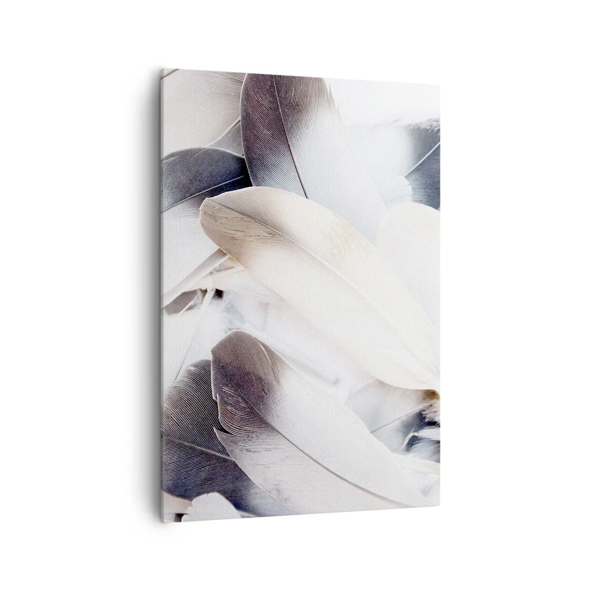 Impression sur toile - Image sur toile - Gros plan de plumes délicates dans des tons de blanc et de gris - 70x100cm - Presque angélique - Décoration murale moderne pour le salon et la chambre ARTTOR