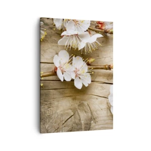 Impression sur toile - Image sur toile - Branches de cerisiers en fleurs sur fond de planche de bois - 50x70cm - Et c'est devenu le printemps - Décoration murale moderne pour le salon et la chambre ARTTOR