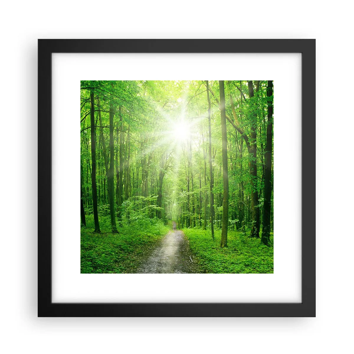 Affiche dans un cadre noir - Poster - Cathédrale verte - 30x30 cm