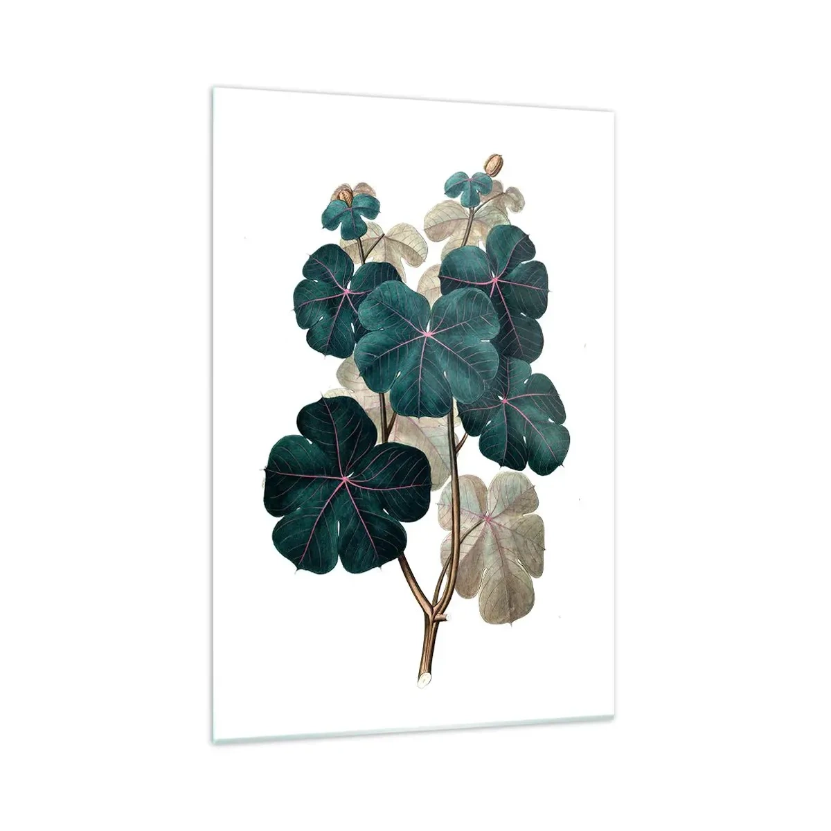 Impression sur verre - Image sur verre - Illustration botanique avec des feuilles dans les tons de vert et de beige - 70x100cm - De l'ancien herbier - Décoration murale moderne pour le salon et la chambre ARTTOR