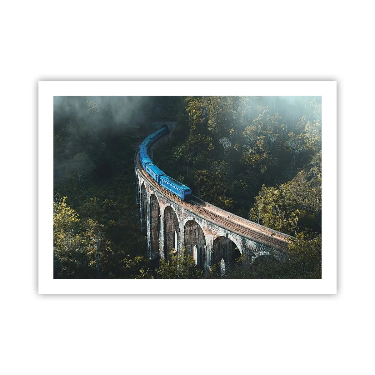 Affiche - Poster - Train nature - 70x50 cm