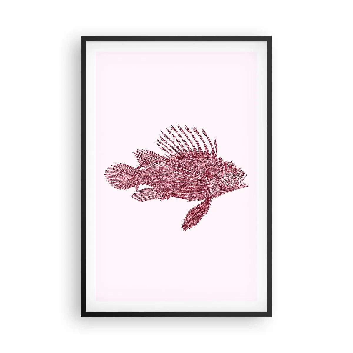 Affiche dans un cadre noir - Poster - Un habitant des eaux exotiques - 61x91 cm