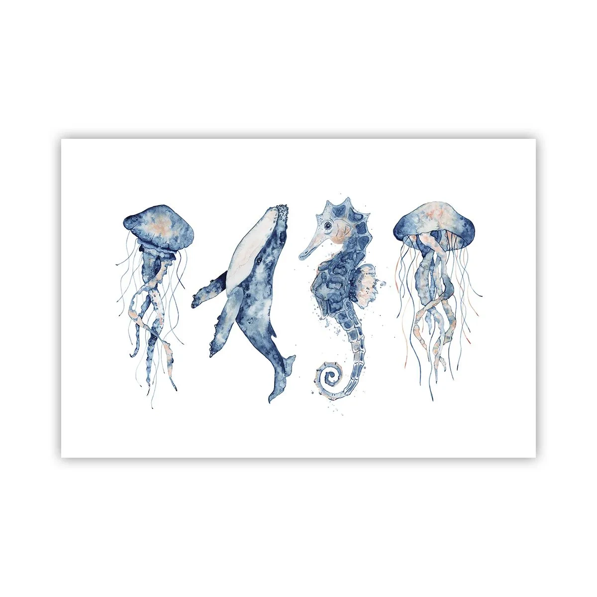 Affiche - Poster - Merveilles de la mer - 91x61 cm