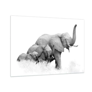 Impression sur verre - Image sur verre - Famille d'éléphants noirs et blancs dans la nature - 100x70cm - Un, deux, trois - Décoration murale moderne pour le salon et la chambre ARTTOR