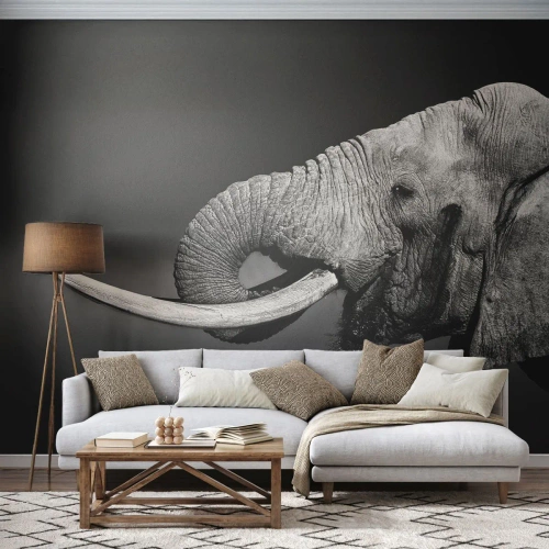 Papier Peint Photo Premium Sand - Oui, c'est bon maintenant - Animaux, Éléphant, Afrique - 250x175 cm