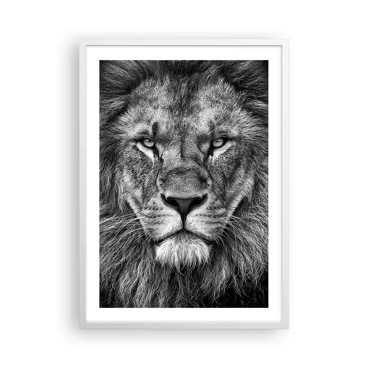 Affiche dans un cadre blanc - Poster - En vêtement de sacre - 50x70 cm