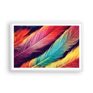 Affiche dans un cadre blanc - Poster - Arc-en-ciel de plumes - 91x61 cm