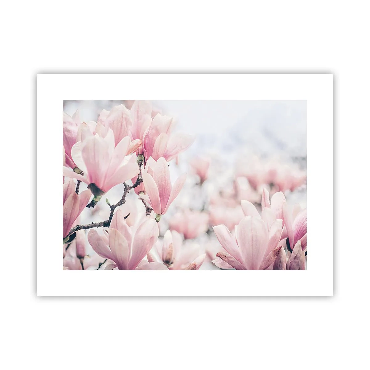 Affiche - Poster - Idéal de la subtilité - 40x30 cm