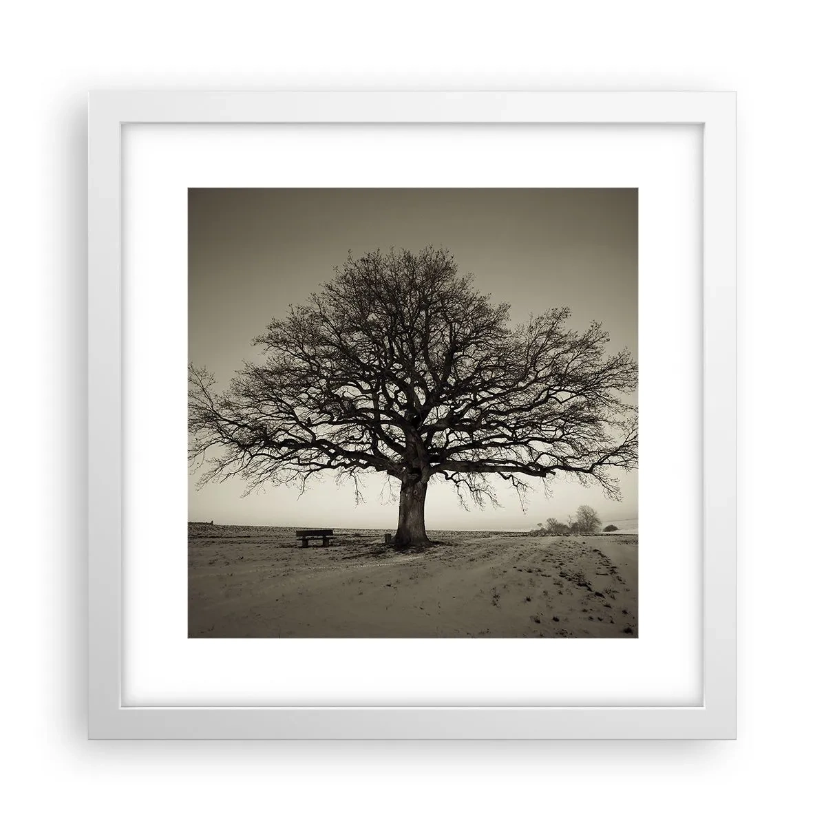 Affiche dans un cadre blanc - Poster - D'ici à l'éternité - 30x30 cm