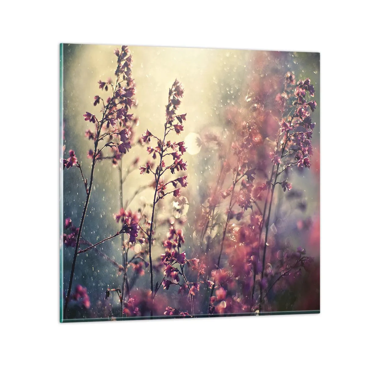 Impression sur verre - Image sur verre - Jardin secret - 70x70 cm