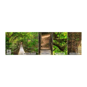 Échantillon de Papier Peint Autocollant Deluxe Sticker - Parce qu'il y a une plante grimpante dans le jardin - Paysage, Forêt, Nature - 100x30 cm