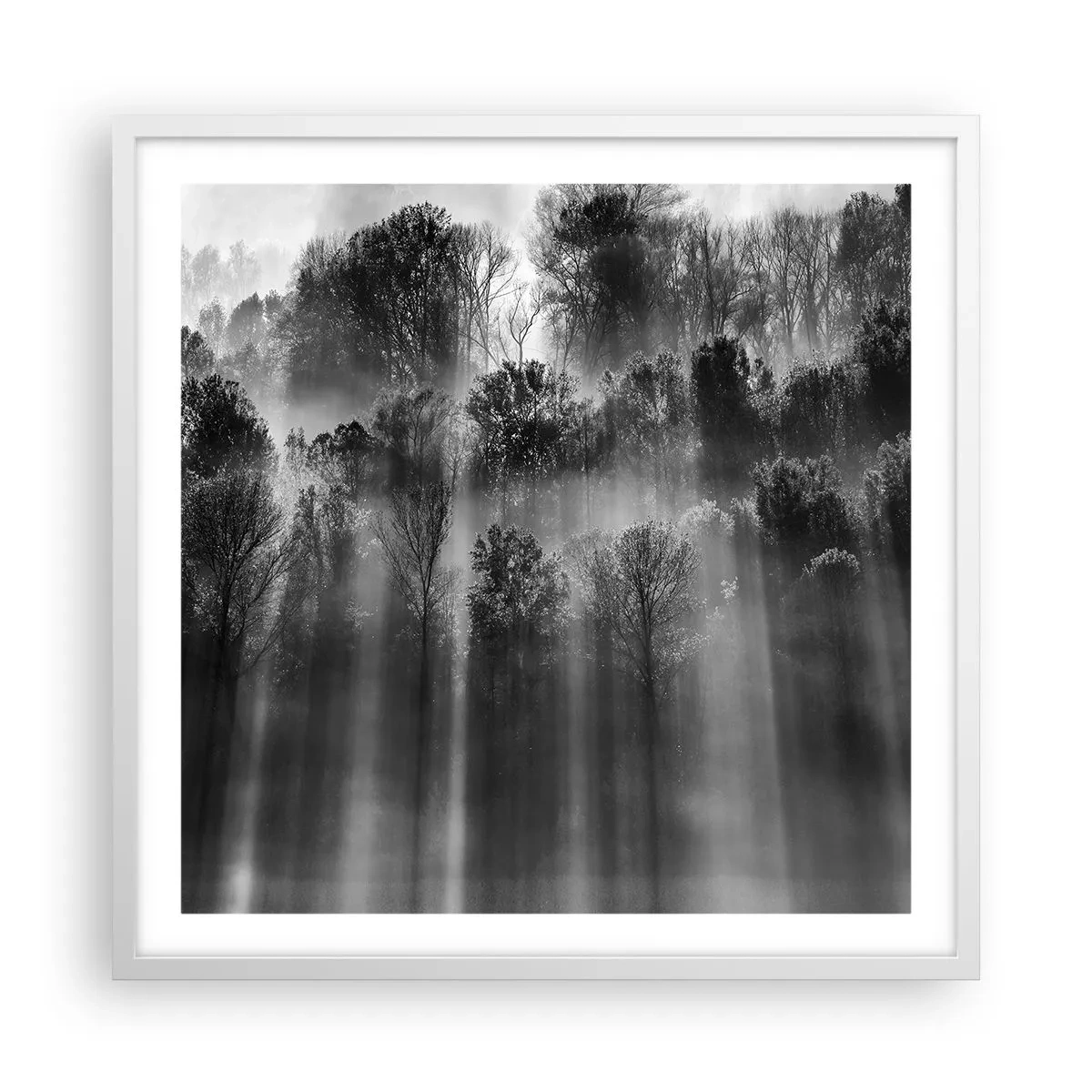 Affiche dans un cadre blanc - Poster - Dans les flots de lumière - 60x60 cm