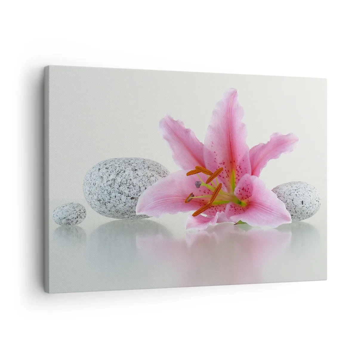 Impression sur toile - Image sur toile - Fleur de lys rose avec des pierres sur un fond clair - 70x50cm - Étude de rose, gris et blanc - Décoration murale moderne pour le salon et la chambre ARTTOR