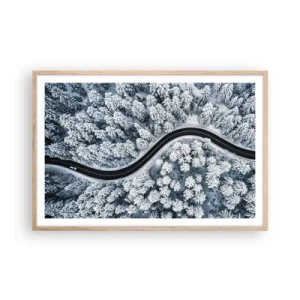 Affiche dans un chêne clair - Poster - À travers une forêt d'hiver - 91x61 cm