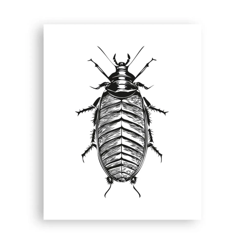 Affiche - Poster - Quel spécimen! - 40x50 cm