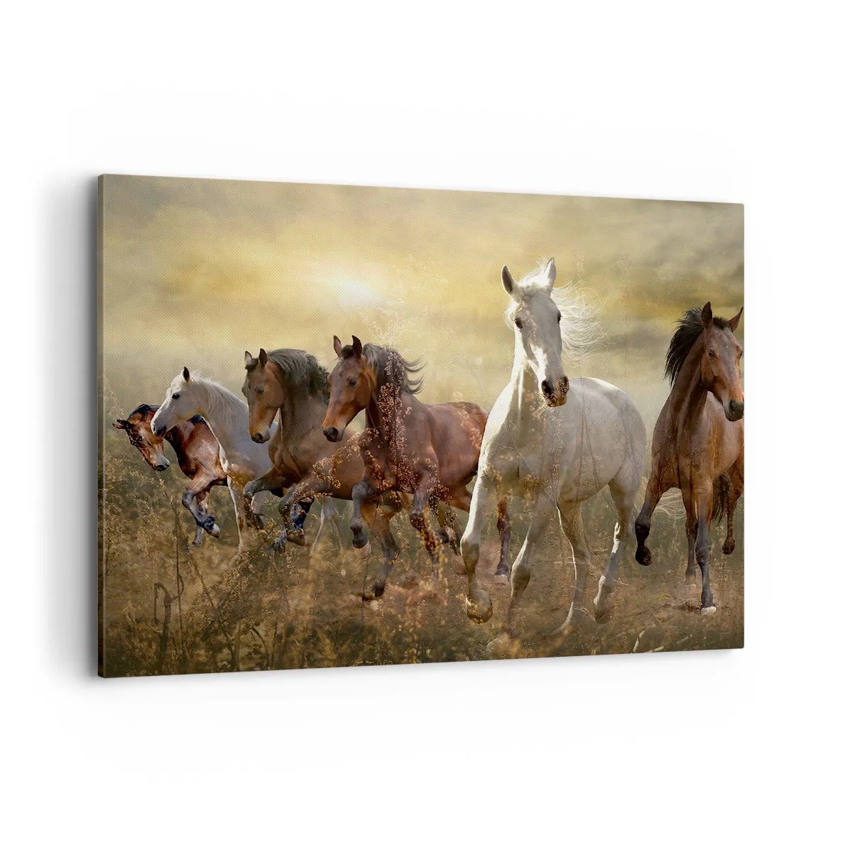 Impression sur toile - Image sur toile - Un groupe de chevaux au galop sur fond de soleil couchant - 100x70cm - Vive la liberté! - Décoration murale moderne pour le salon et la chambre ARTTOR