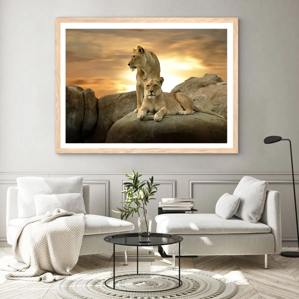 Affiche dans un chêne clair - Poster - Majesté royale - 50x40 cm