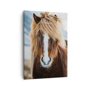 Impression sur toile - Image sur toile - Cheval islandais dans un paysage de montagne - 50x70cm - Sentez-vous la liberté ? - Décoration murale moderne pour le salon et la chambre ARTTOR