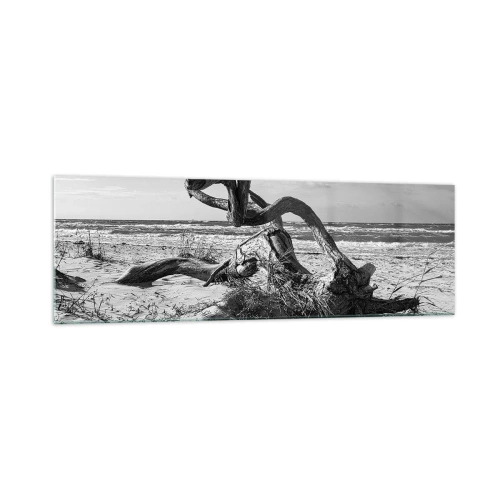 Impression sur verre - Image sur verre - Paysage noir et blanc avec un arbre mort sur la plage - 160x50cm - Sculpture marine - Décoration murale moderne pour le salon et la chambre ARTTOR