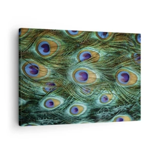 Impression sur toile - Image sur toile - Détails des plumes de paon aux couleurs riches - 70x50cm - Un regard de paon - Décoration murale moderne pour le salon et la chambre ARTTOR
