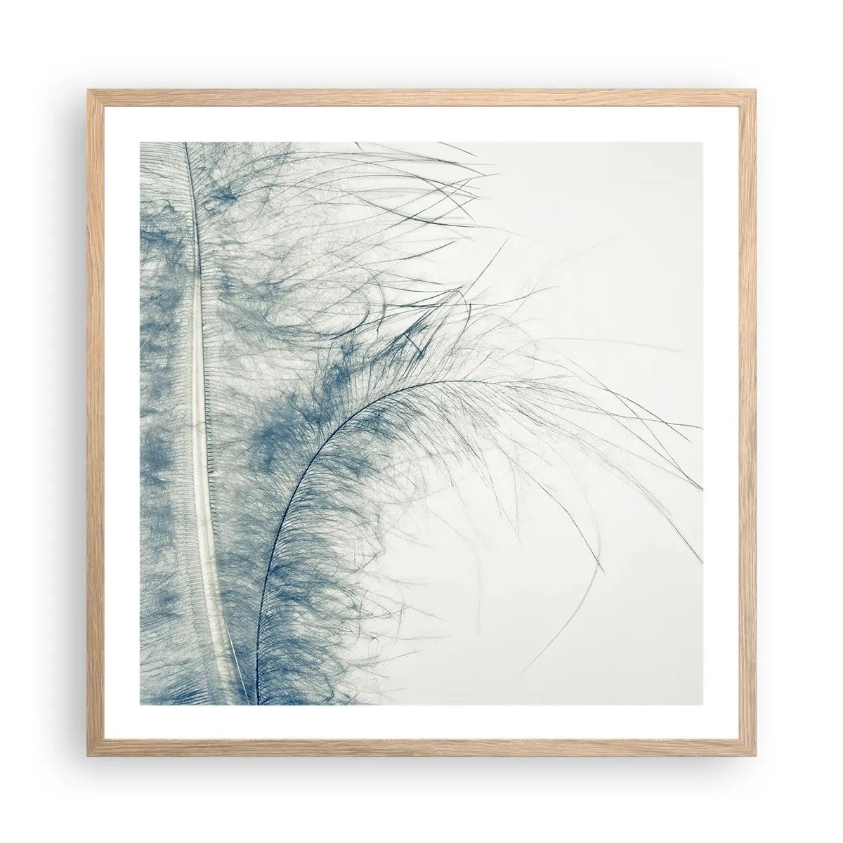 Affiche dans un chêne clair - Poster - Les sept natures - 60x60 cm