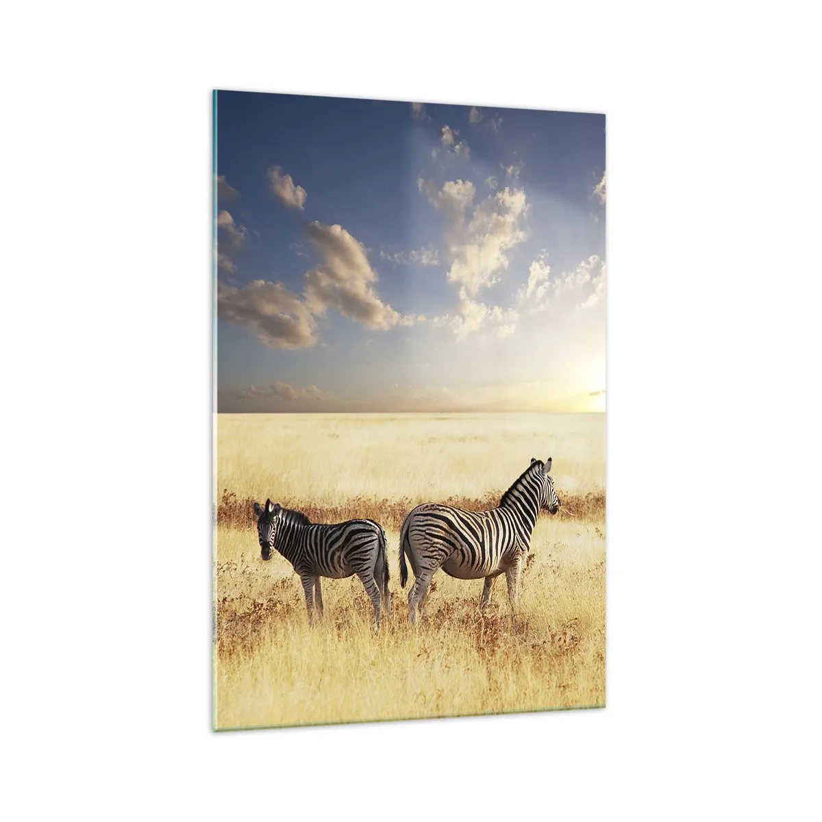 Impression sur verre - Image sur verre - Deux zèbres dans la savane sous les rayons du soleil couchant - 70x100cm - Va-t'en, n'ai pas de paix - Décoration murale moderne pour le salon et la chambre ARTTOR
