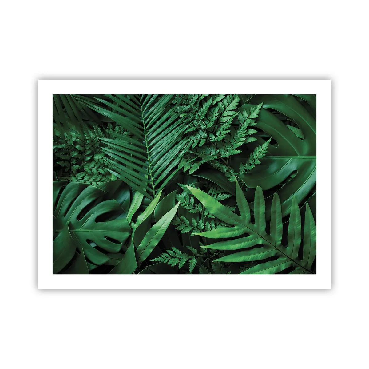 Affiche - Poster - Emmitouflé de verdure - 70x50 cm