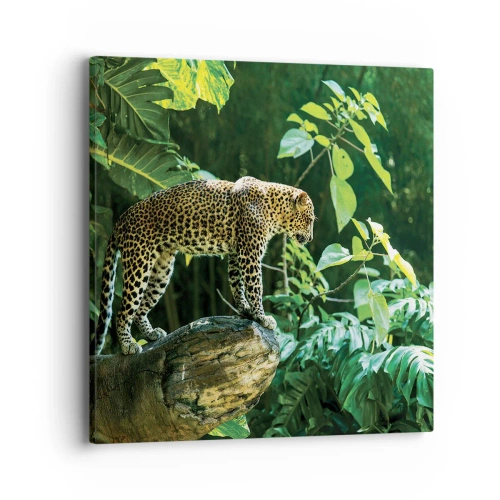 Impression sur toile - Image sur toile - À la chasse? - 40x40 cm