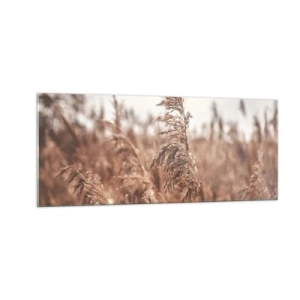 Impression sur verre - Image sur verre - C'est déjà l'automne dans les champs - 100x40 cm