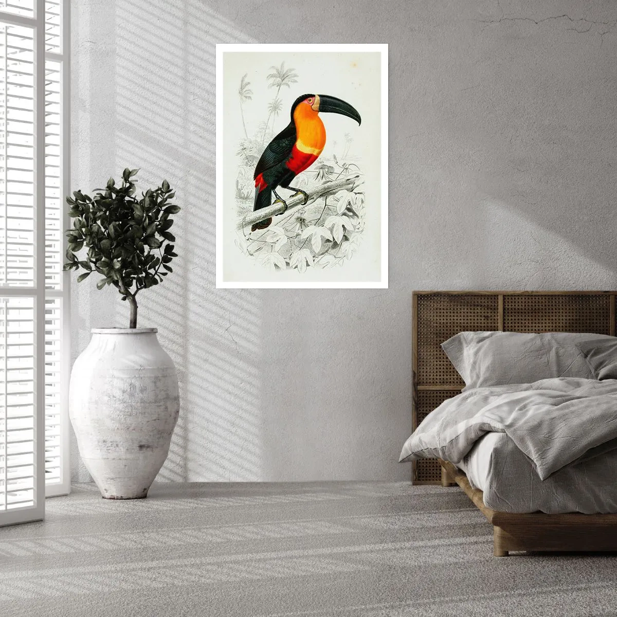 Affiche - Poster - Couleurs des oiseaux - 40x50 cm