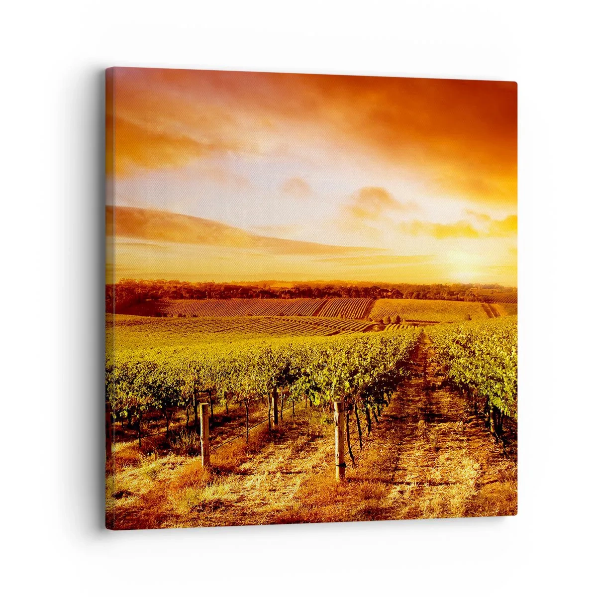 Impression sur toile - Image sur toile - Légèrement fruité avec une pointe de soleil - 30x30 cm