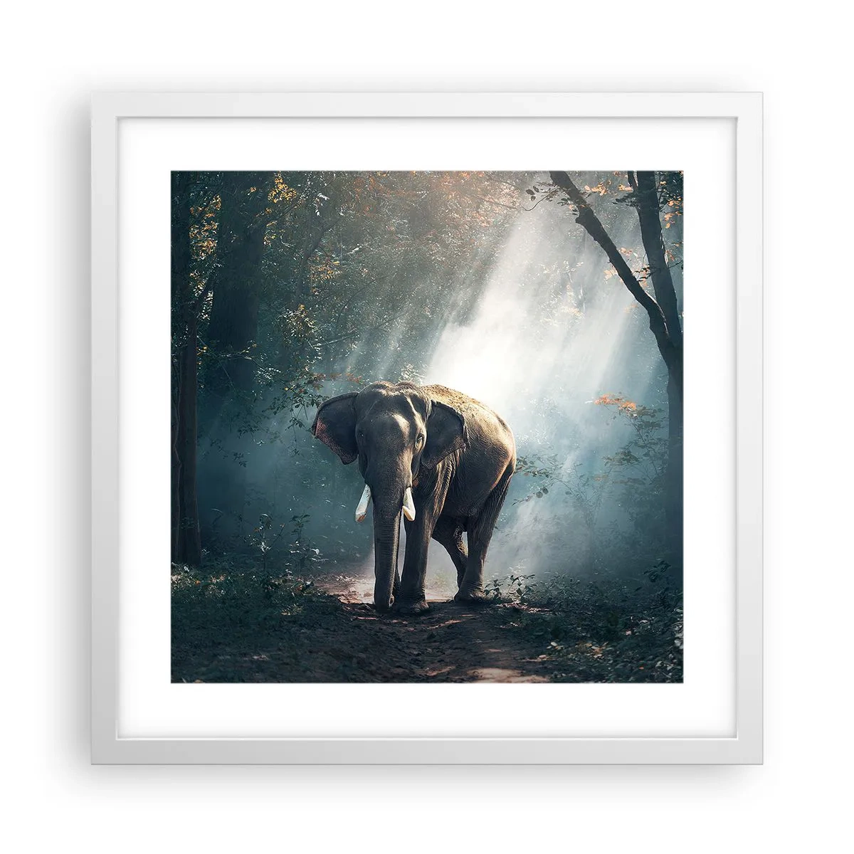 Affiche dans un cadre blanc - Poster - Une balade tranquille - 40x40 cm