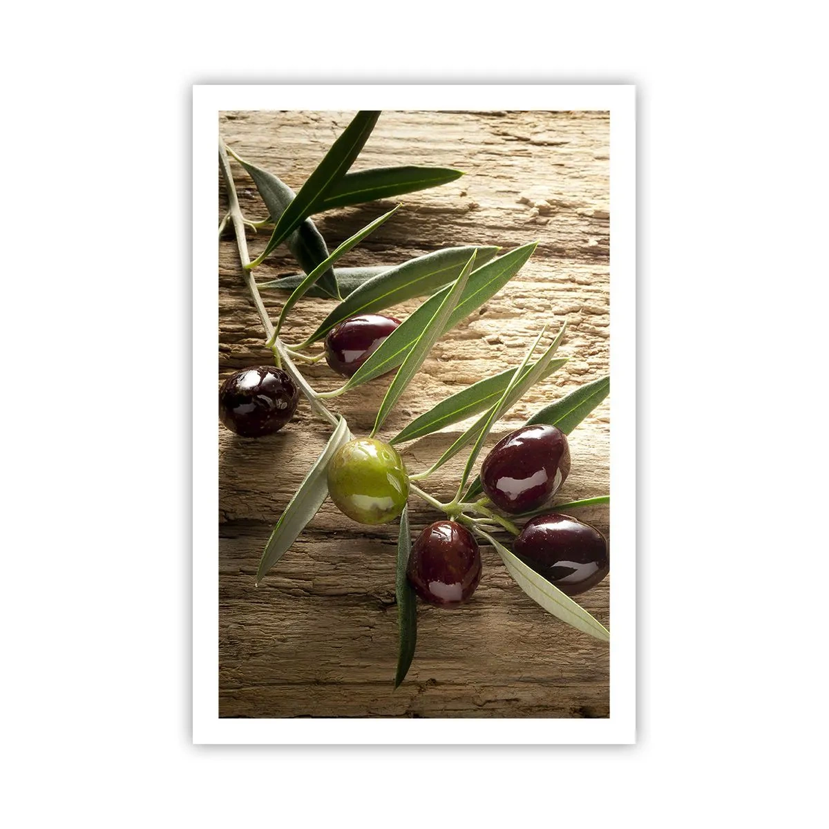 Affiche - Poster - Directement de la nature - 61x91 cm