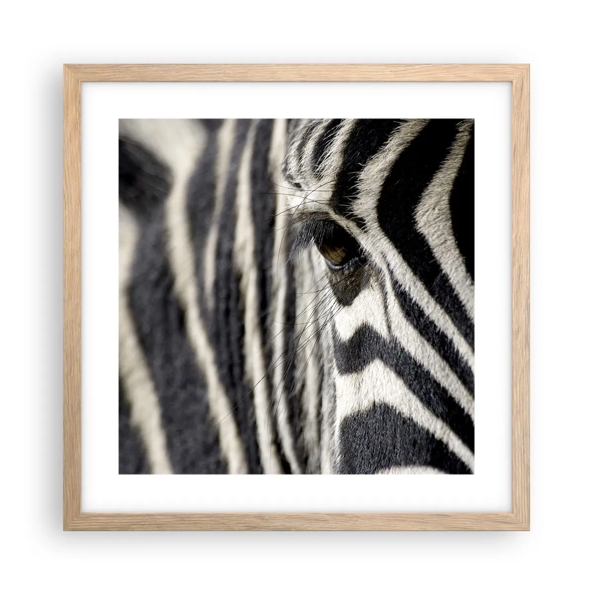 Affiche dans un chêne clair - Poster - Portrait en rayure - 40x40 cm