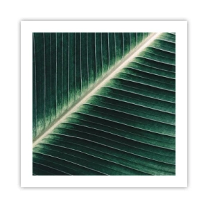Affiche - Poster - Le rythme de la nature - 50x50 cm