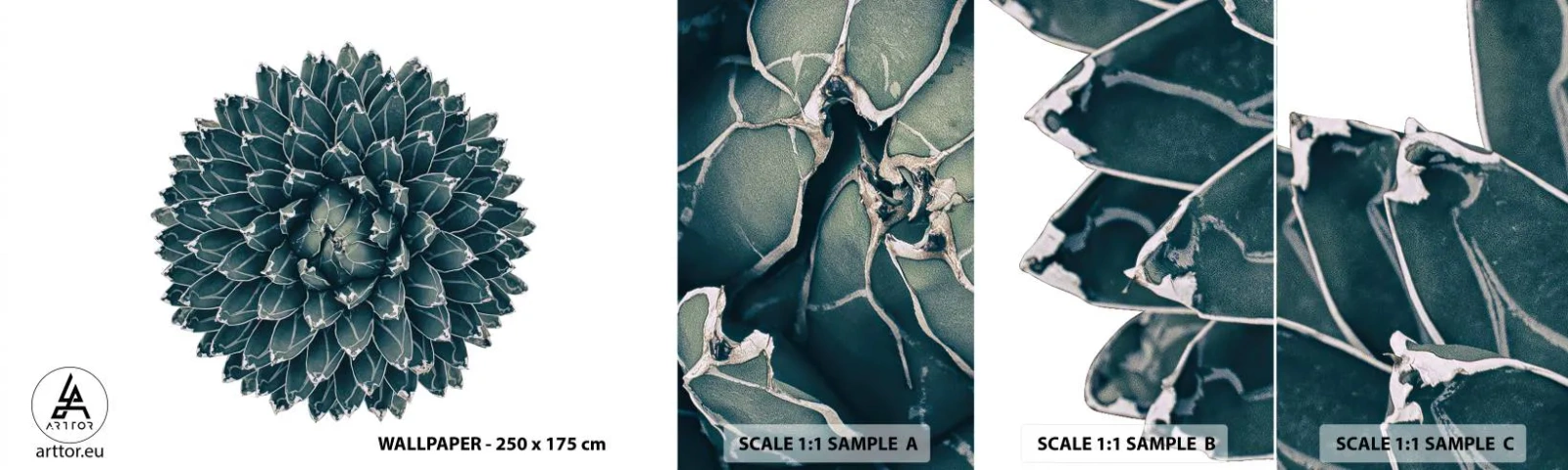 Échantillon de Papier Peint Autocollant Deluxe Sticker - Étoile du désert - Cactus, Agave, Graphique - 100x30 cm