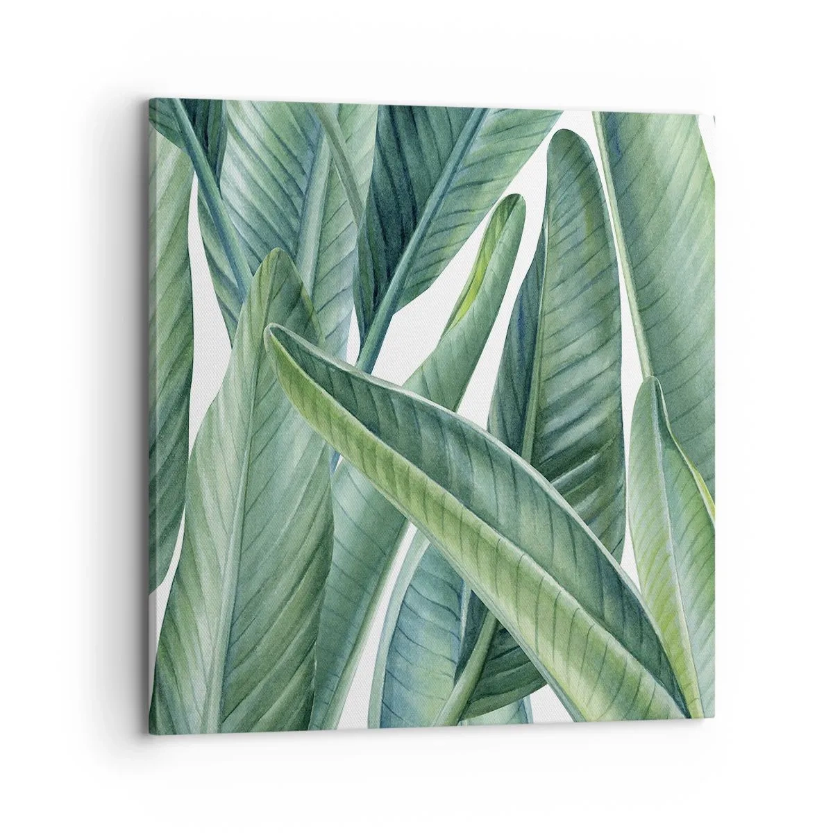 Impression sur toile - Image sur toile - La nature face à elle-même - 70x70 cm