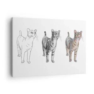 Impression sur toile - Image sur toile - L'évolution d'un dessin de chat, de l'esquisse à la forme colorée - 70x50cm - Leçon de dessin - Décoration murale moderne pour le salon et la chambre ARTTOR