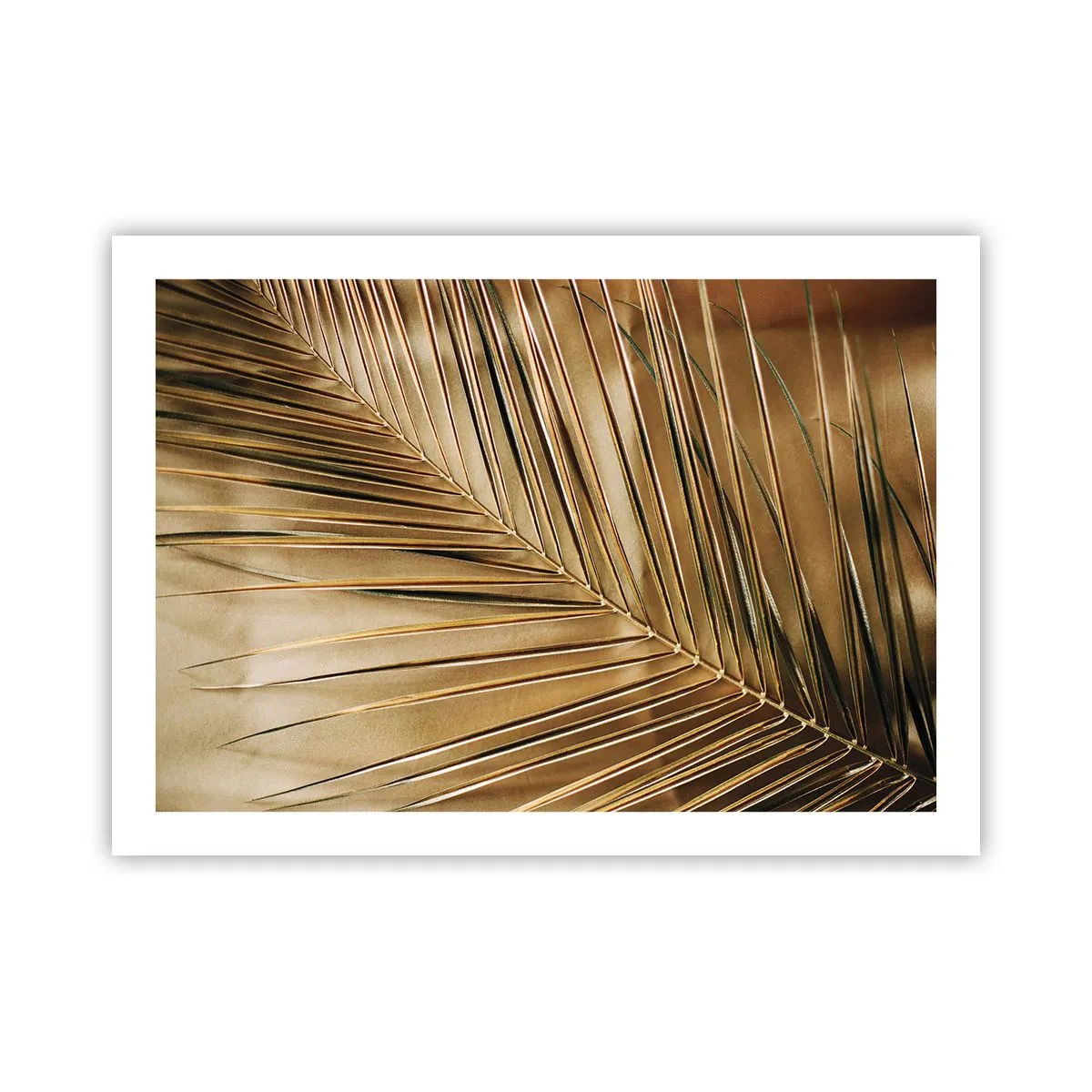 Affiche - Poster - Colonnade naturelle - 70x50 cm