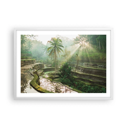 Affiche dans un cadre blanc - Poster - Grandir au soleil - 70x50 cm