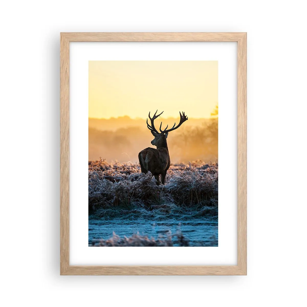 Affiche dans un chêne clair - Poster - Couronné pour sa succession - 30x40 cm