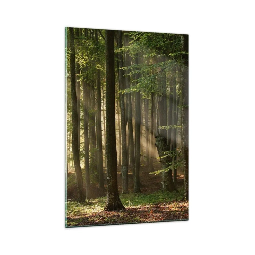 Impression sur verre - Image sur verre - Les rayons du soleil pénètrent à travers les arbres de la forêt - 80x120cm - Rayon d'un matin de printemps - Décoration murale moderne pour le salon et la chambre ARTTOR