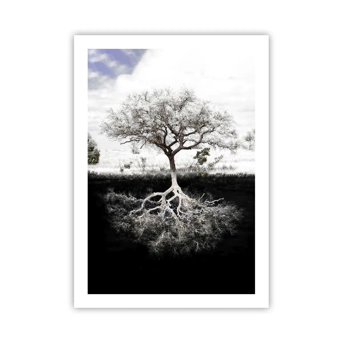 Affiche - Poster - Un arbre minimaliste avec un système racinaire visible - 50x70cm - Découvrir la nature du monde - Décoration murale moderne pour le salon et la chambre ARTTOR