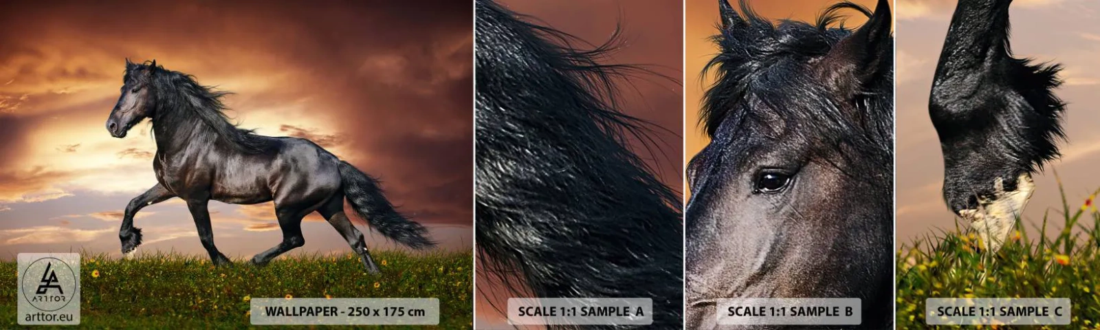 Échantillon De Papier Peint Standard Eco - Livres noirs - Animaux, cheval arabe, Paysage - 100x30 cm