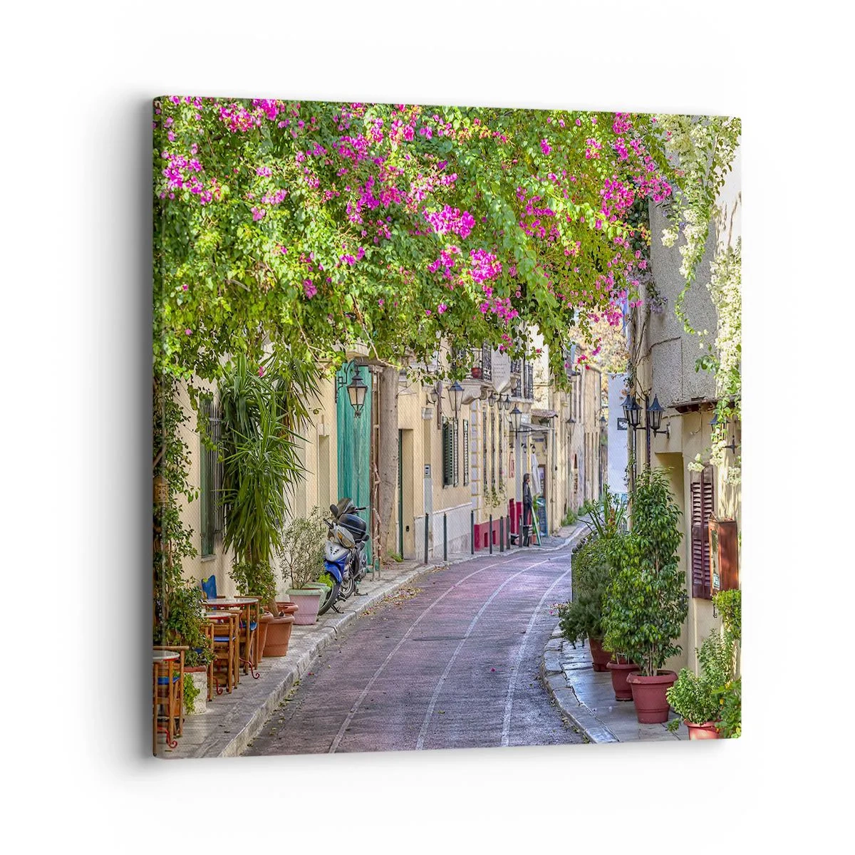 Impression sur toile - Image sur toile - Allée fleurie - 40x40 cm