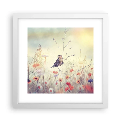Affiche dans un cadre blanc - Poster - Portrait d'oiseau sur pré en fond - 30x30 cm
