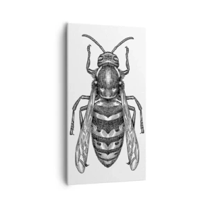 Impression sur toile - Image sur toile - D'une planète d'insectes - 55x100 cm